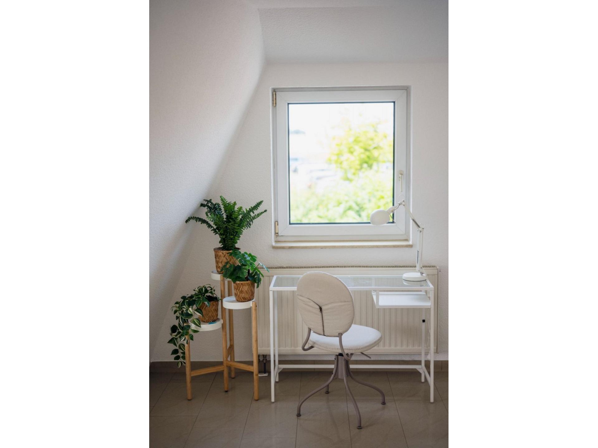 Ferienwohnung Ausguck Foto 12